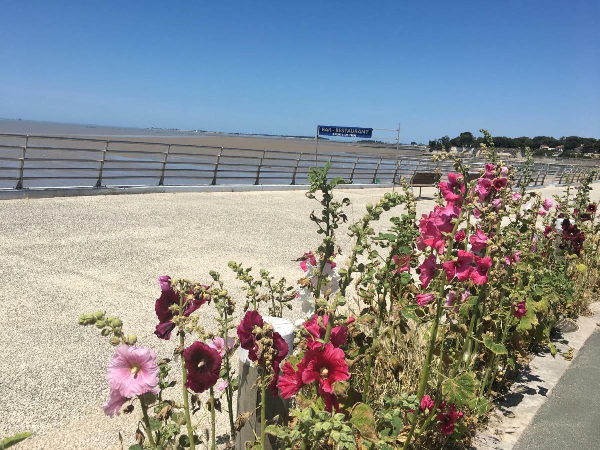 Petit Nid A 50M De La Plage Au Coeur De Fouras Exteriör bild